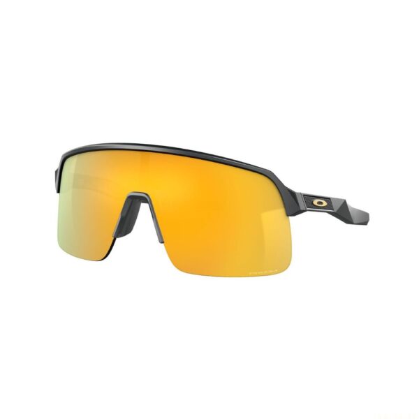 Oakley Sunglasses Sutro Mt Carbon w/Prizm 24K