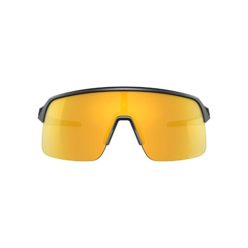 Oakley Sunglasses Sutro Mt Carbon w/Prizm 24K